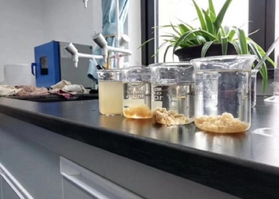 Van het Waterdecoloring van het Dicyandiamideformaldehyde van de Agentenchemical auxiliary agent het Olieveldriolering